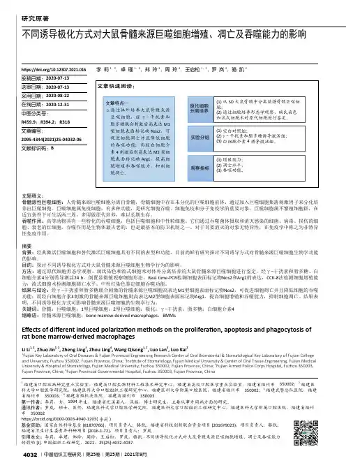 不同诱导极化方式对大鼠骨髓来源巨噬细胞增殖、凋亡及吞噬能力的影响