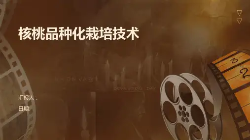 核桃品种化栽培技术