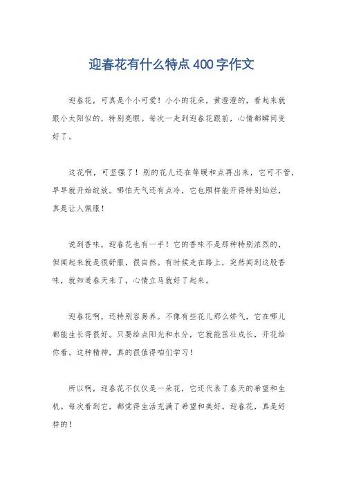 迎春花有什么特点400字作文