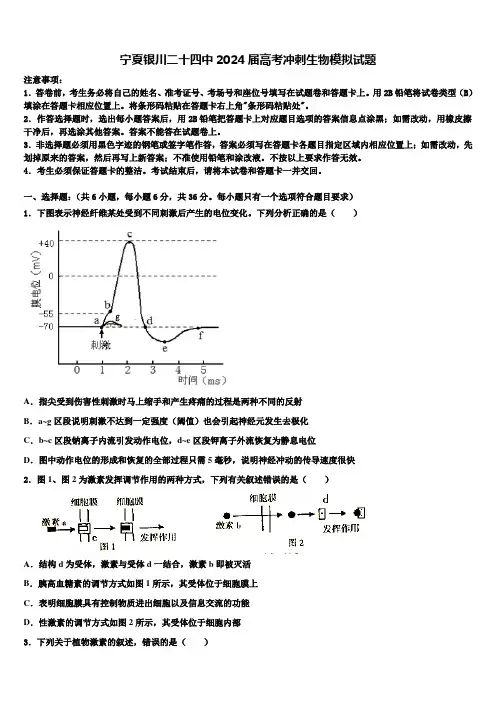 宁夏银川二十四中2024届高考冲刺生物模拟试题含解析