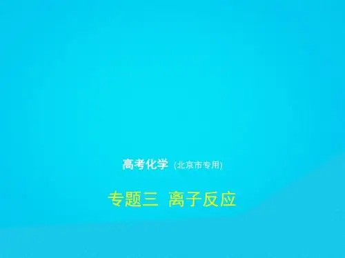 北京市2019版高考化学：专题(3)离子反应ppt复习课件(含答案, )