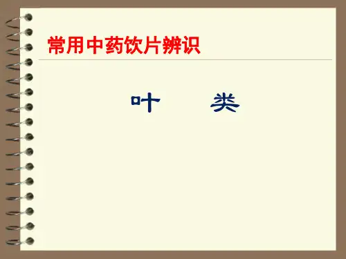 常用中药饮片辨识：叶类