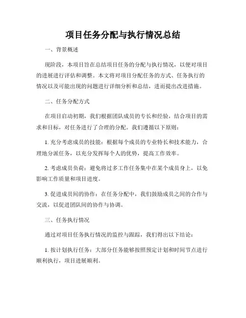 项目任务分配与执行情况总结