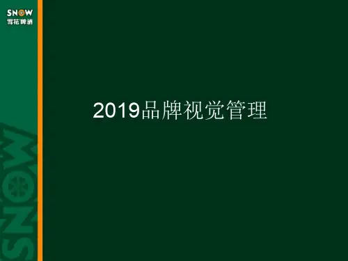 华润雪花啤酒品牌视觉管理共29页