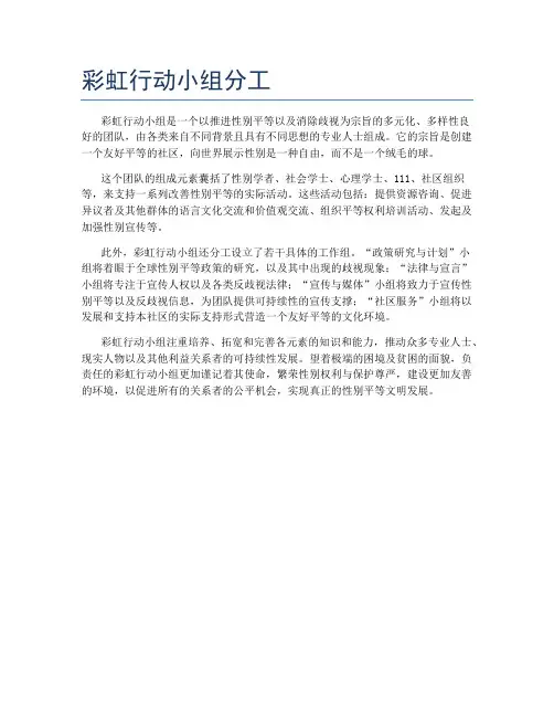 彩虹行动小组分工