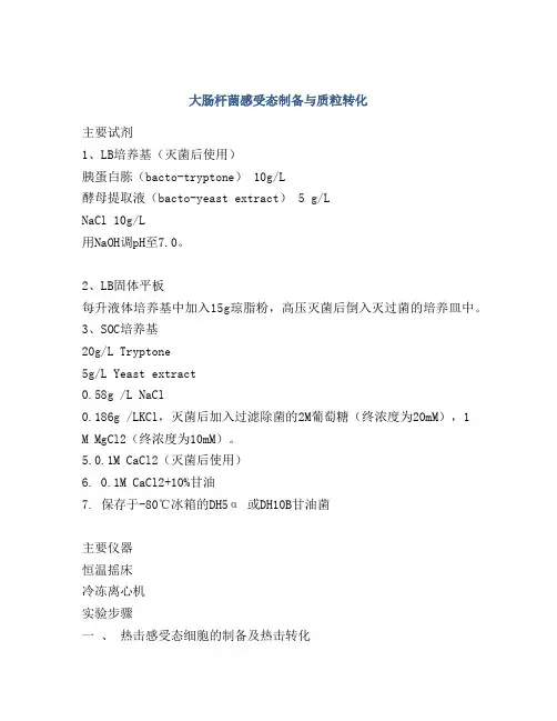 大肠杆菌感受态制备与质粒转化