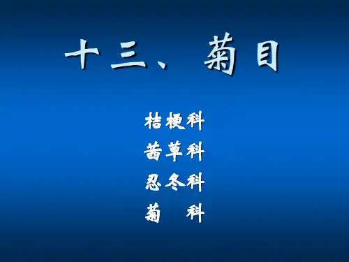 植物生物学-被子植物-菊目