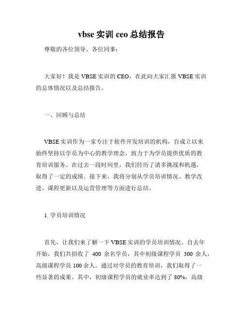 vbse实训ceo总结报告