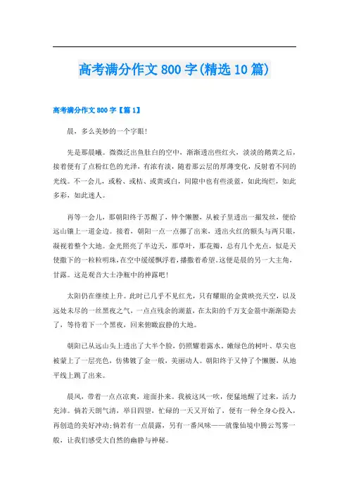 高考满分作文800字(精选10篇)