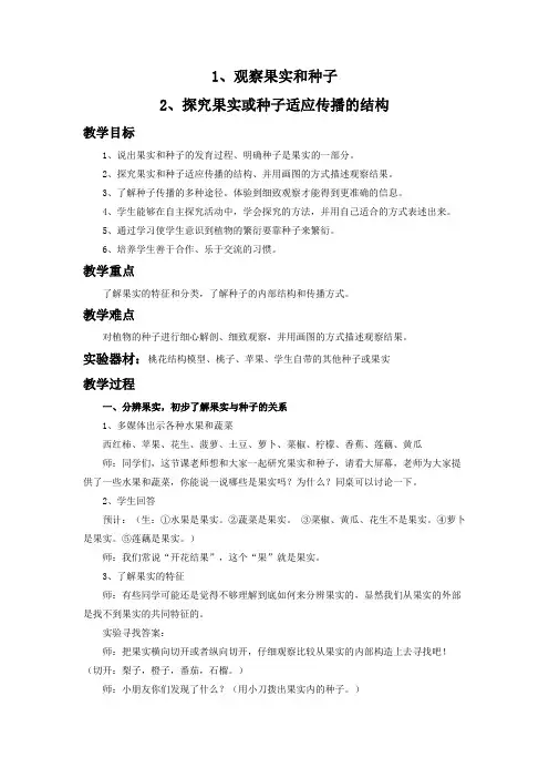 观察果实和种子