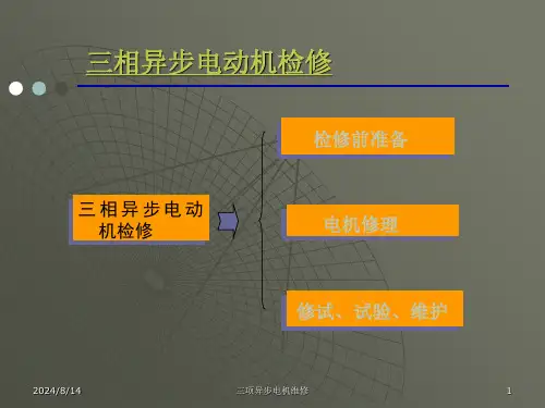 三相异步电动机检修ppt课件全文