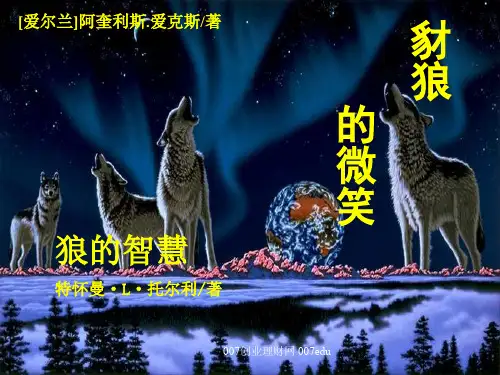 狼的智慧(免费)共24页文档