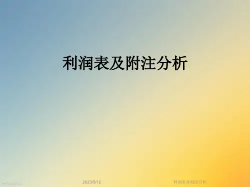 利润表及附注分析