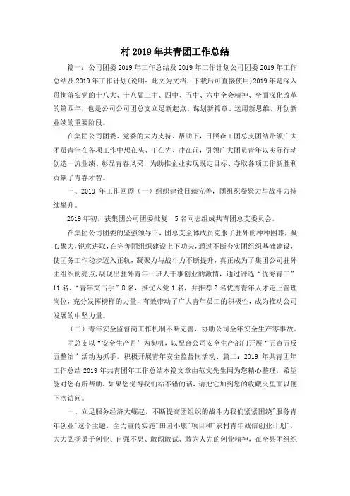工作总结-村2019年共青团工作总结 精品