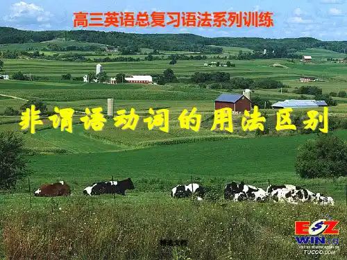 经典高三英语总复习语法系列训练.ppt