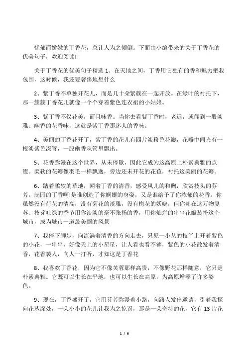丁香花的优美句子