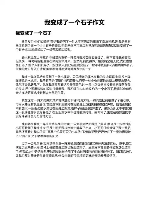 我变成了一个石子作文