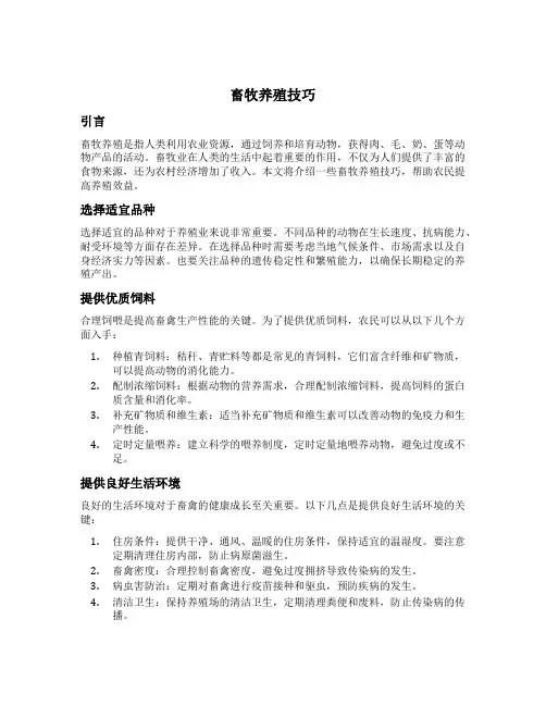 畜牧养殖技巧