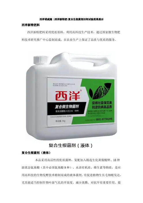 西洋诺威施 西洋新特肥-复合生根菌剂田间试验效果展示