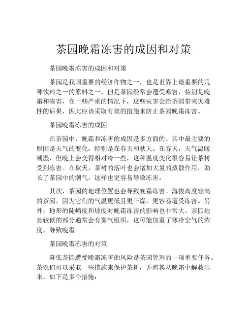 茶园晚霜冻害的成因和对策