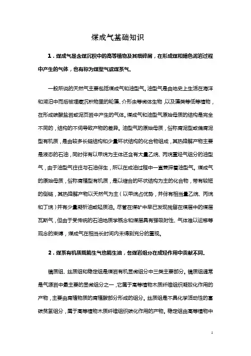 煤成气基础知识