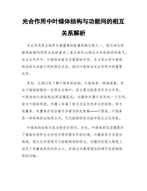 光合作用中叶绿体结构与功能间的相互关系解析