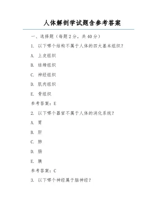 人体解剖学试题含参考答案 
