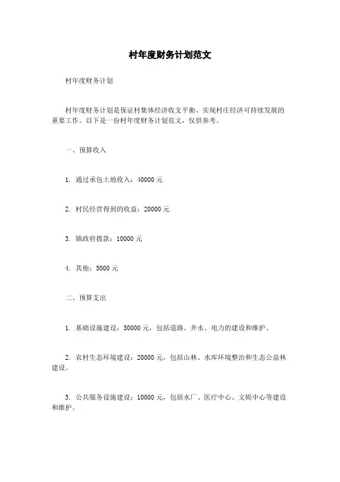 村年度财务计划范文