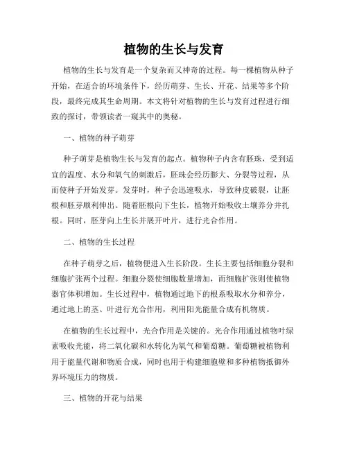 植物的生长与发育