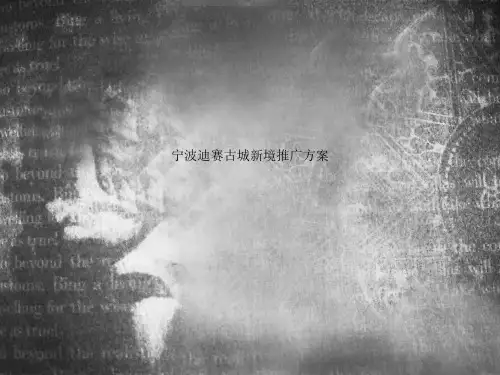 宁波迪赛古城新境推广方案