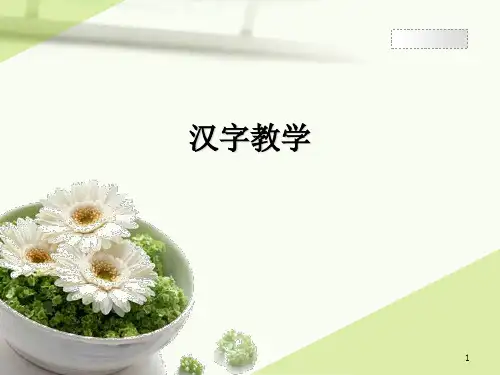 对外汉字教学ppt课件