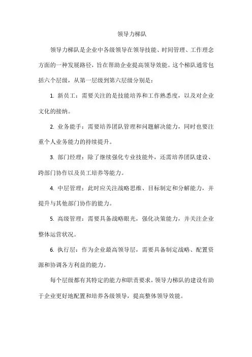 领导力梯队 pdf