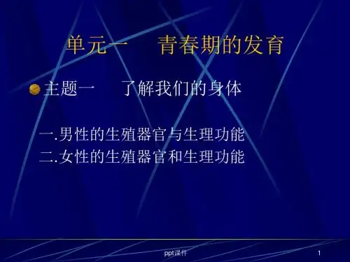 男女生殖系统结构和功能了解  ppt课件