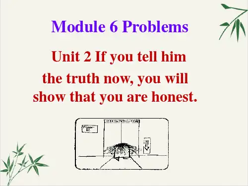 外研版英语九上册课件：Module6Unit213张