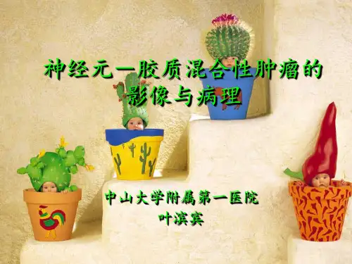 神经元胶质混合性肿瘤(修改)-叶滨宾