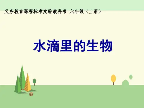 苏教版  科学 六年级上册  全册课件