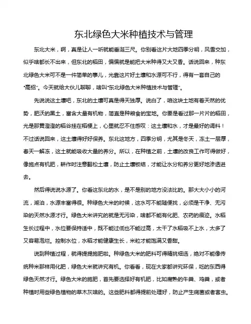 东北绿色大米种植技术与管理