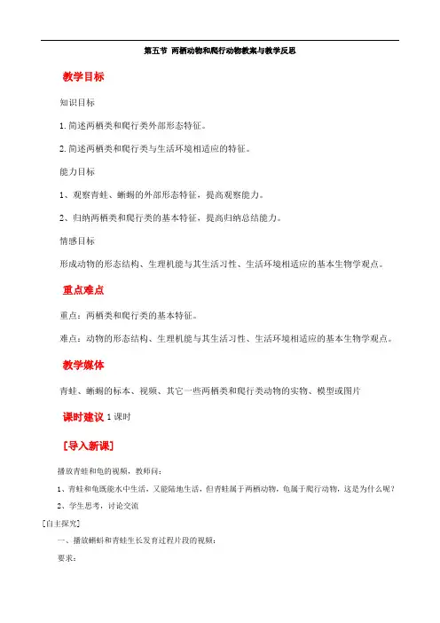 人教版八年级生物上册 两栖动物和爬行动物教案与教学反思精品