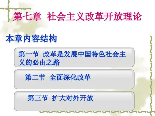 七章社会主义改革开放理论 (2)全文