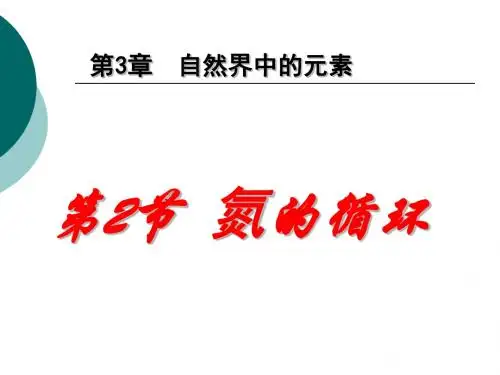 氮的循环 