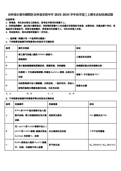 吉林省长春市朝阳区吉林省实验中学2023-2024学年化学高三上期末达标检测试题含解析