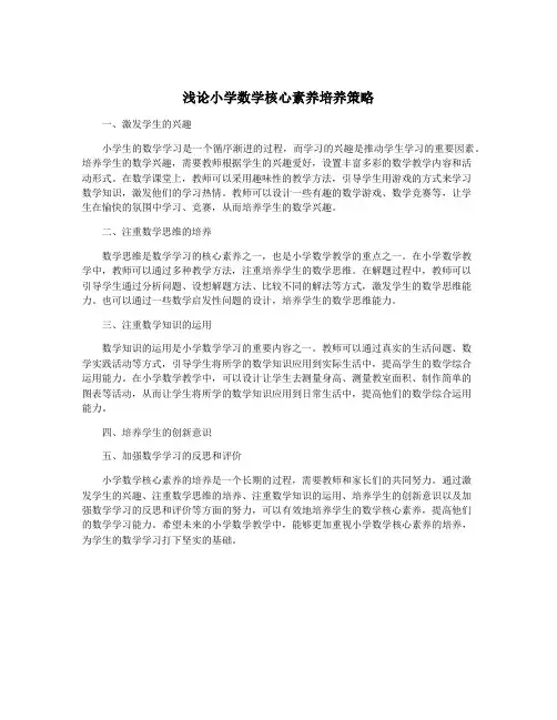 浅论小学数学核心素养培养策略