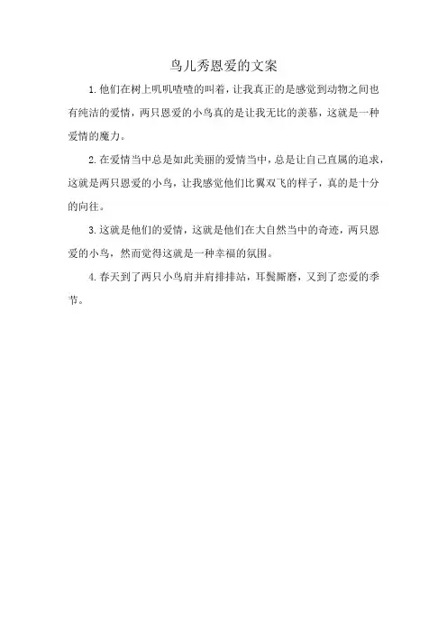 鸟儿秀恩爱的文案