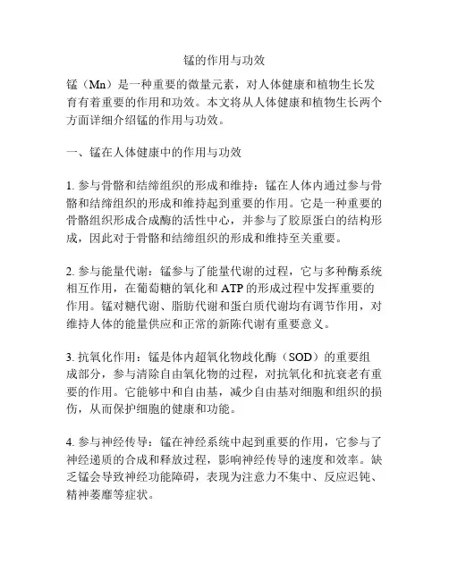 锰的作用与功效