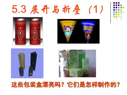 初中数学苏科版七年级上册5.3 展开与折叠