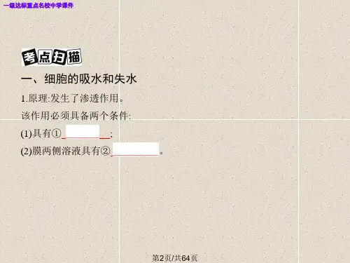 高三生物一轮复习细胞的物质输入与输出.pptx