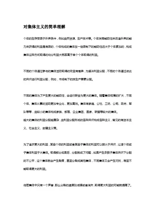 对于集体主义的理解