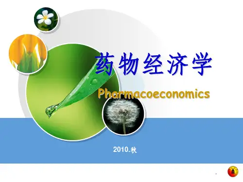 药物经济学(临床)ppt课件