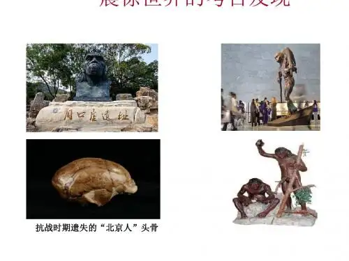 中国早期人类的代表——北京人PPT课件22