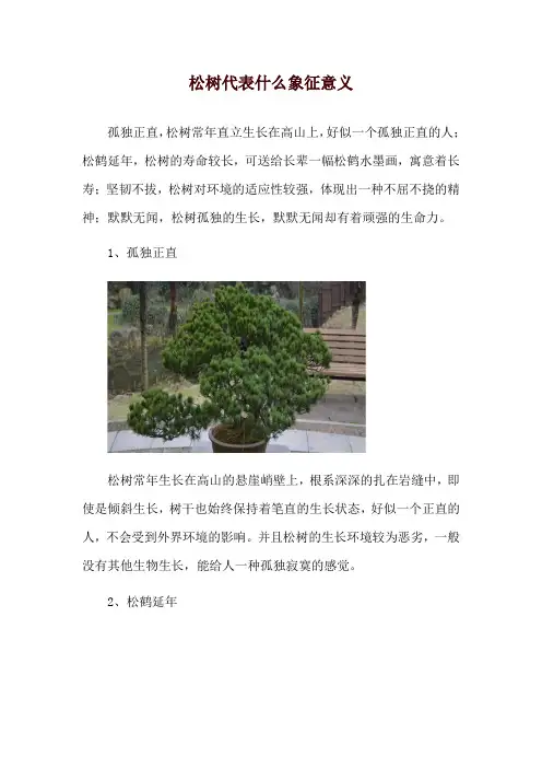 松树代表什么象征意义